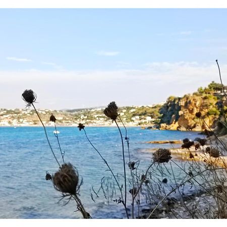 Case D'Anna Castellammare del Golfo Extérieur photo